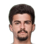 米拉迪诺维奇